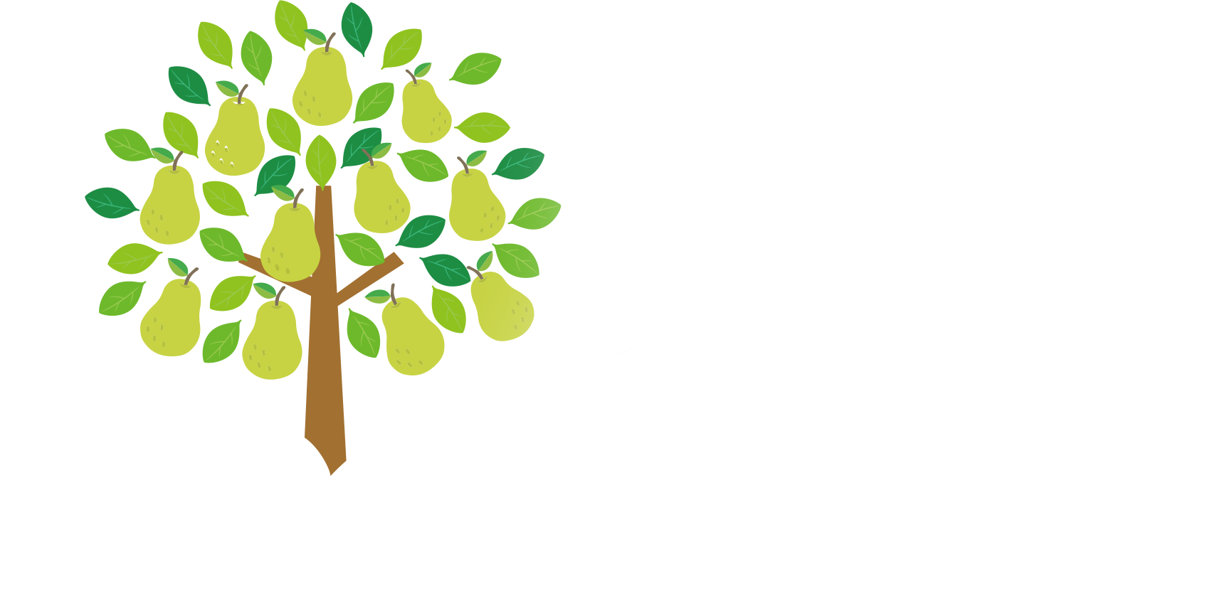 千葉市のもみほぐし・タイ古式マッサージ・オイルマッサージはPear千琴